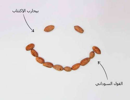 القلوبات وفوائدها في رسومات